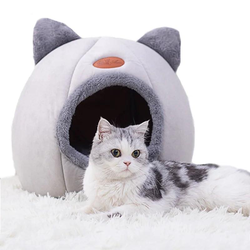 Cat Comfort Bed - upzone